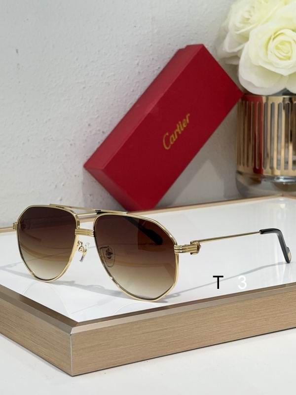 Cartier CT0796S 60 15-145 c02