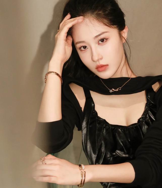 Cartier bracelet 01lyh230 (8)