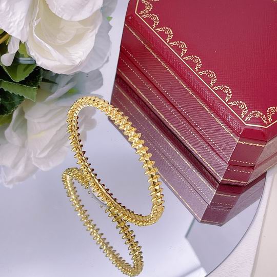 Cartier bracelet 01lyh231 (2)