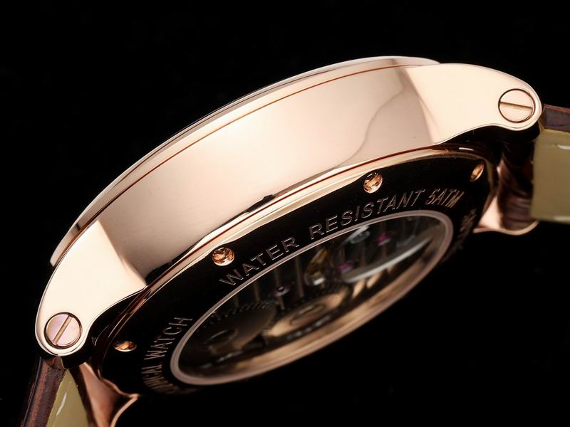 Cartier watch 16 (11)