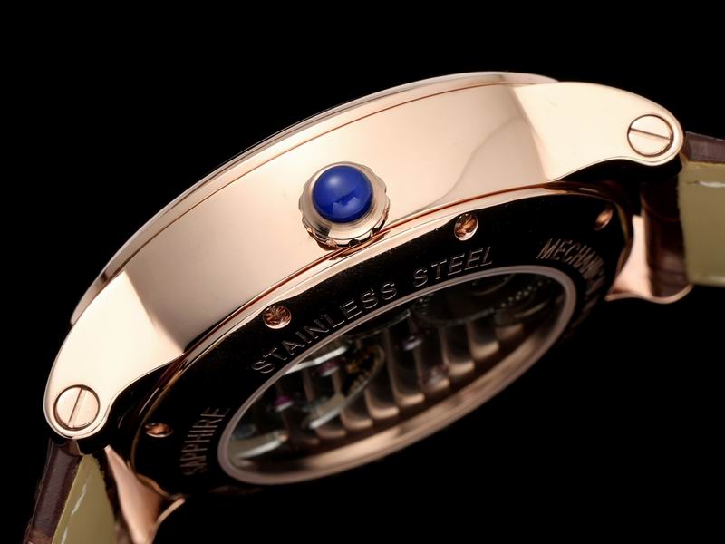 Cartier watch 16 (12)
