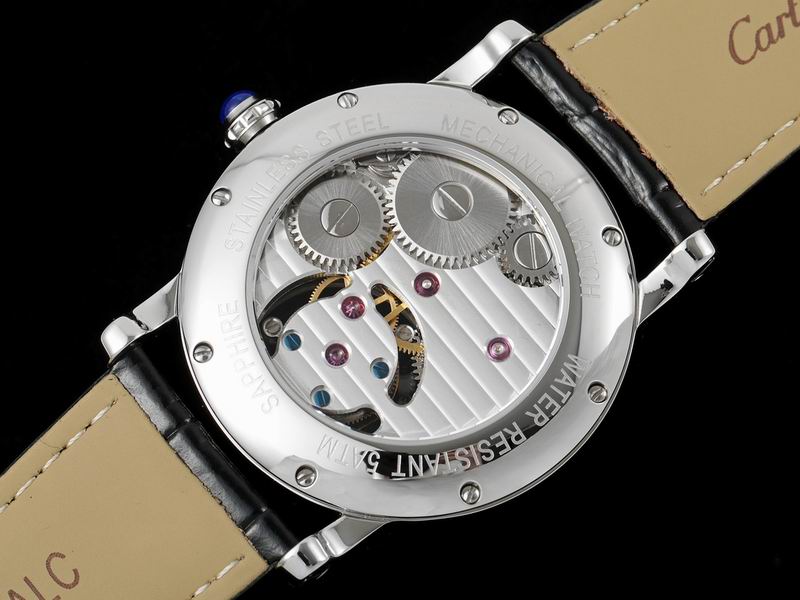 Cartier watch 17 (1)