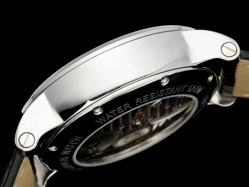 Cartier watch 17 (2)