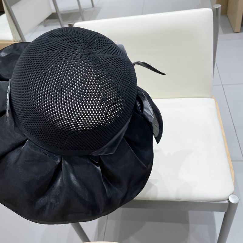 Celine hat (135)