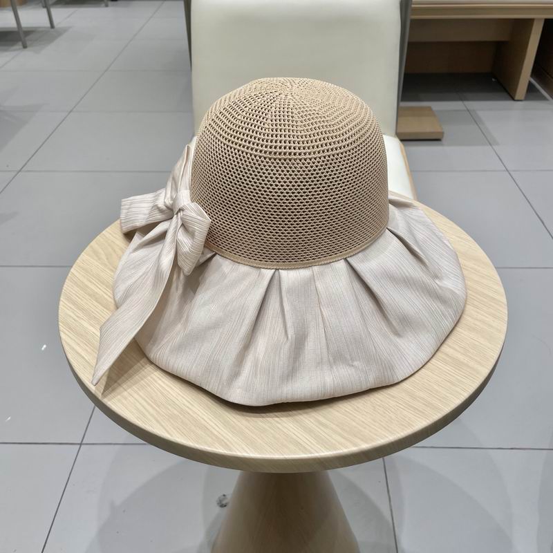 Celine hat (71)