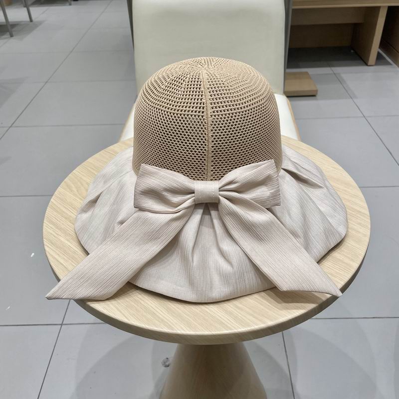 Celine hat (72)