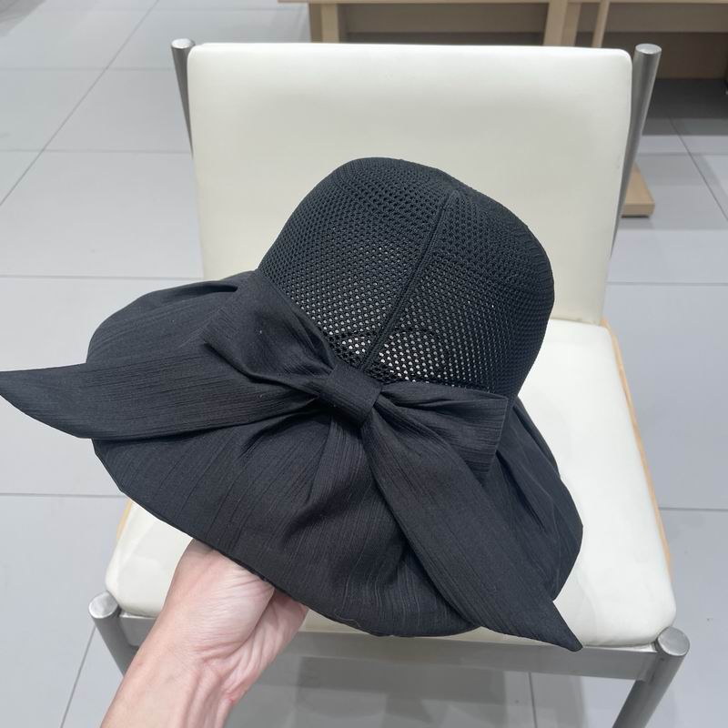 Celine hat (77)