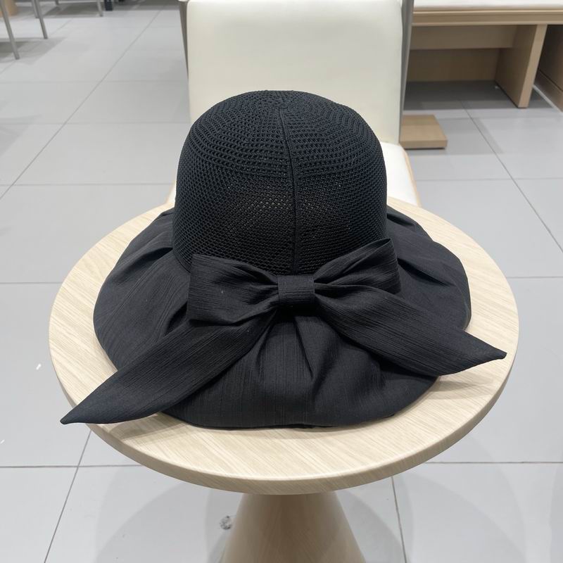 Celine hat (82)