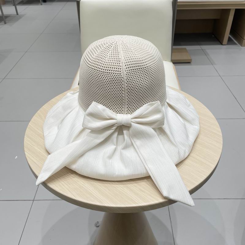 Celine hat (86)