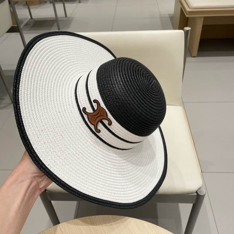 Celine top hat (246)