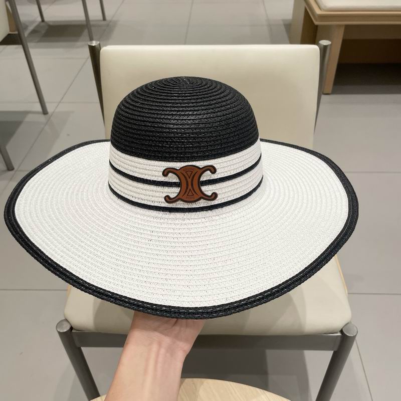 Celine top hat (247)