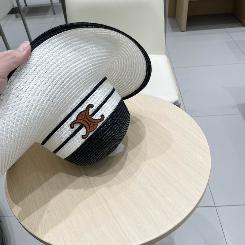 Celine top hat (248)