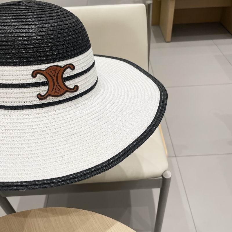 Celine top hat (251)