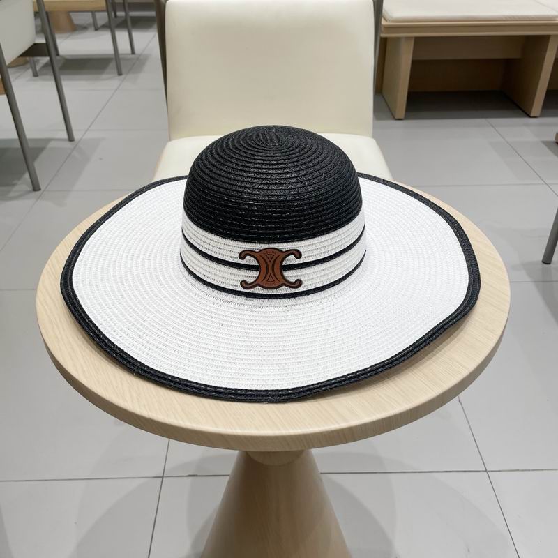 Celine top hat (253)