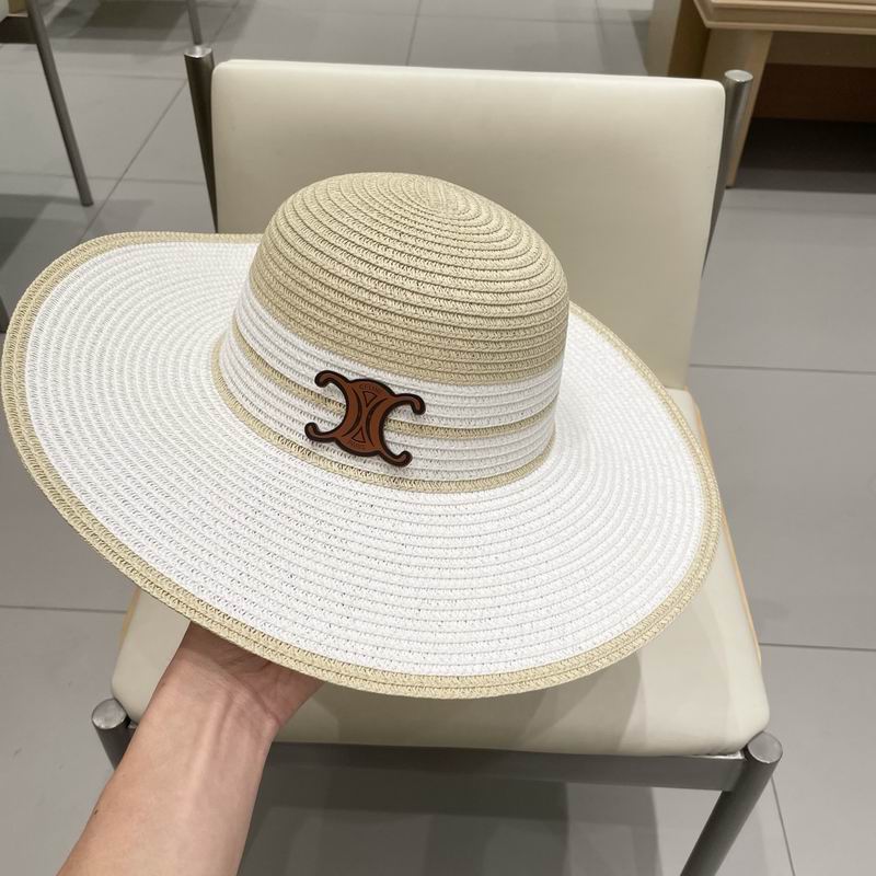 Celine top hat (255)