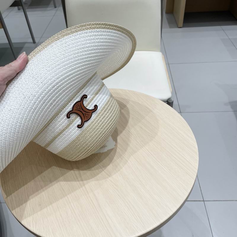 Celine top hat (256)