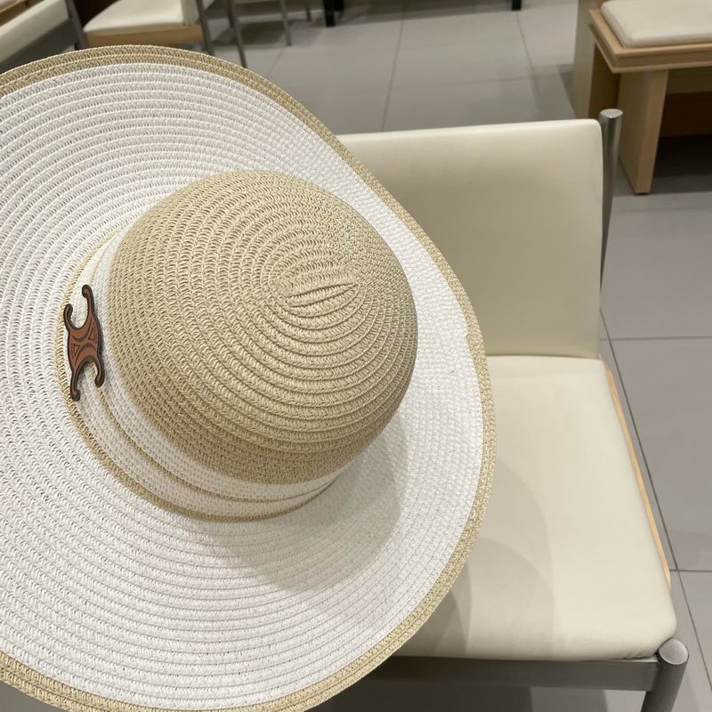 Celine top hat (259)