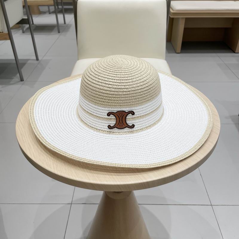 Celine top hat (262)