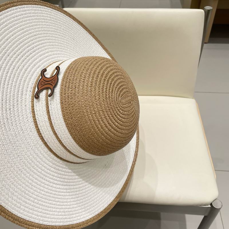 Celine top hat (264)