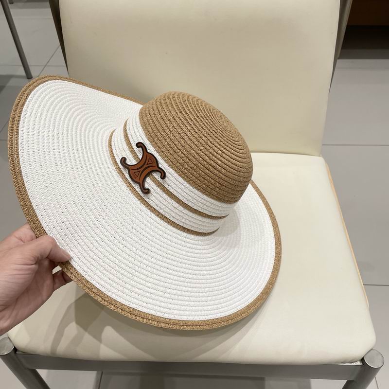 Celine top hat (268)