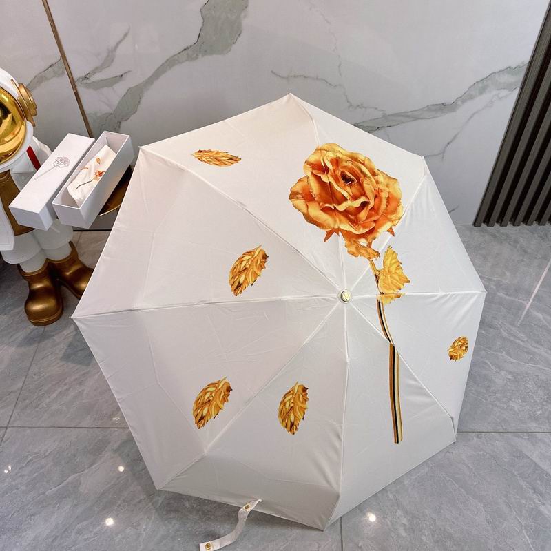 Chanel Umbrella  hm (171)