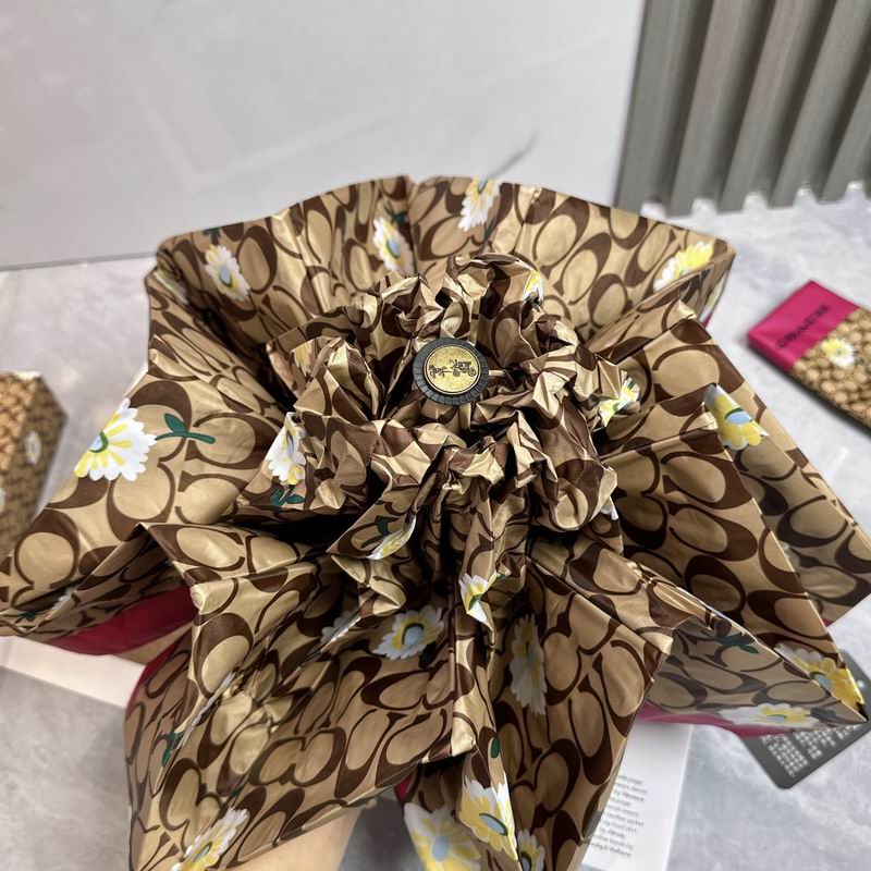 Coach Umbrella E (16)