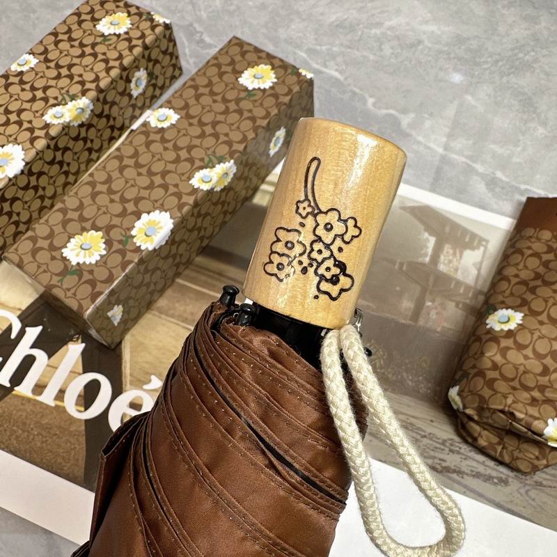 Coach Umbrella E (24)