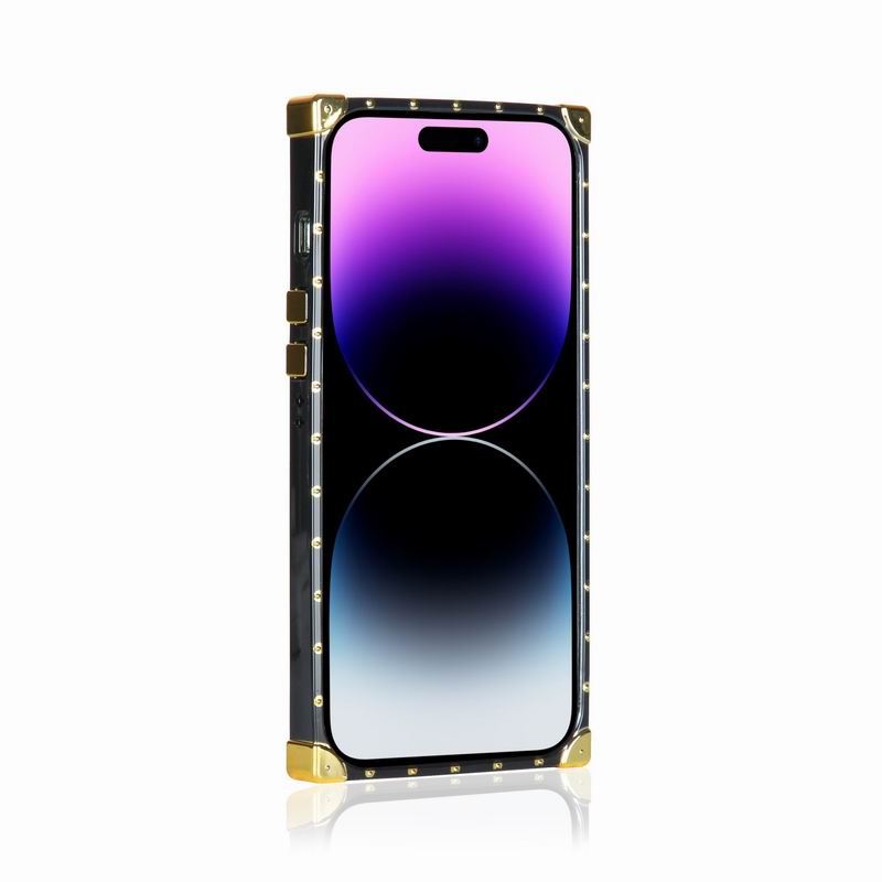 Coach iphone 11-14pro max  (1)