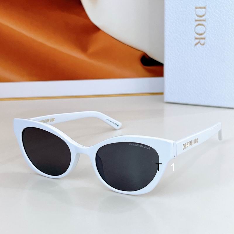 Dior B2I 53-19-14 a16