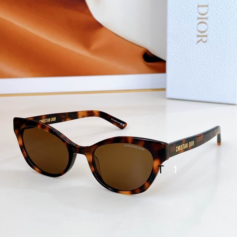 Dior B2I 53-19-145 a00