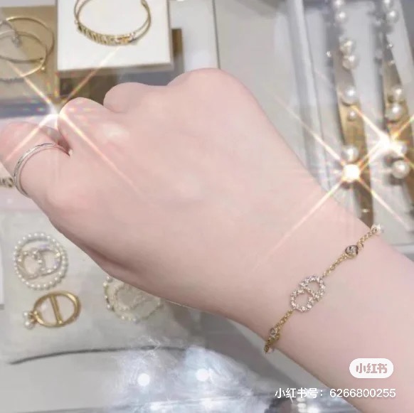 Dior Bracelet 02lyh91 (4)