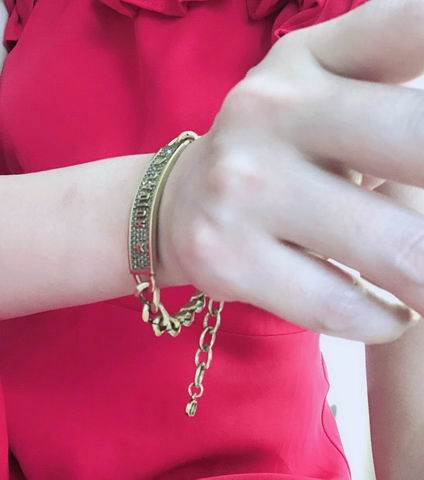 Dior Bracelet 12lyh17 (2)