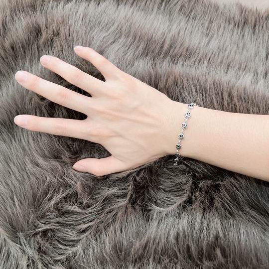 Dior Bracelet 12lyh18 (4)