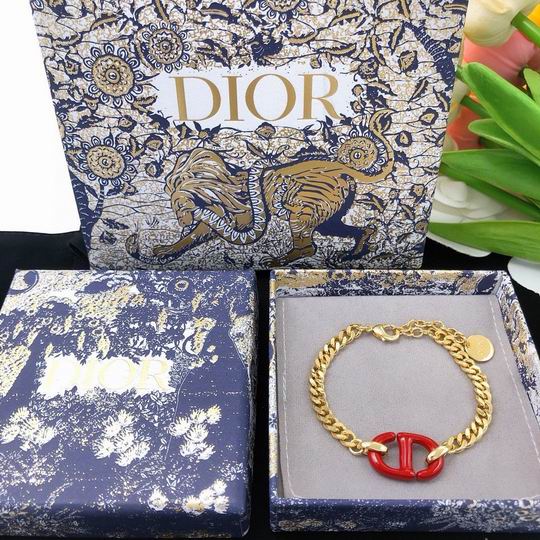 Dior Bracelet 12lyh50 (4)