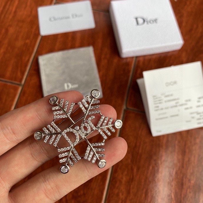 Dior Brooch 01lyh38 (6)
