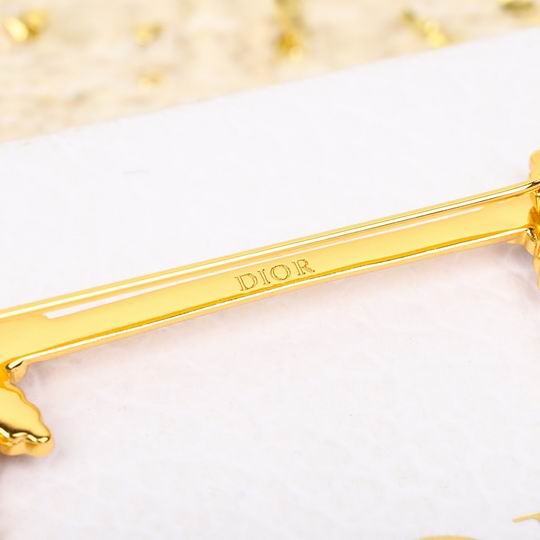 Dior Brooch 12lyh07 (4)