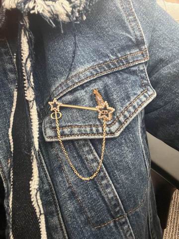 Dior Brooch 12lyh07 (6)
