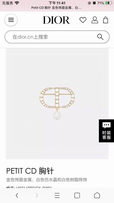 Dior Brooch 12lyh18 (4)