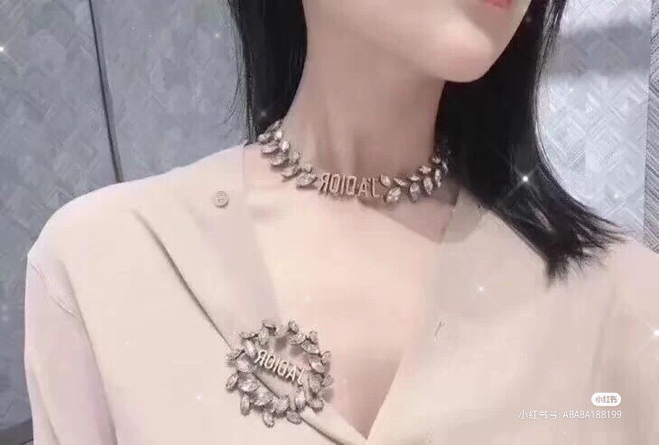 Dior Brooch 12lyh19 (6)