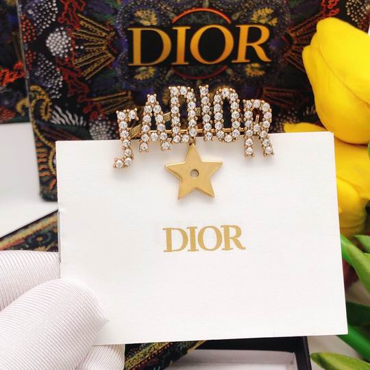 Dior Brooch 12lyh20 (3)