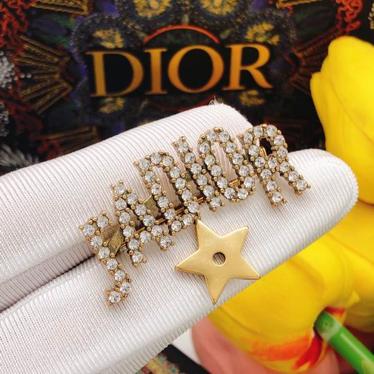 Dior Brooch 12lyh20 (4)