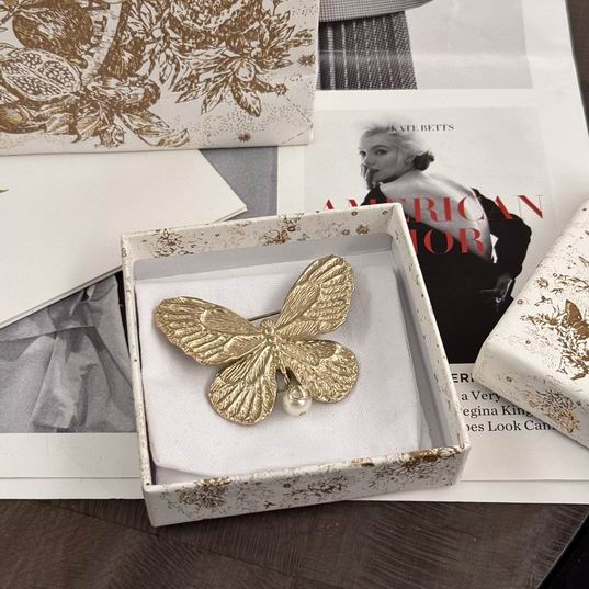 Dior Brooch 12lyh24 (1)