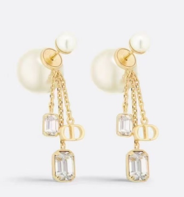 Dior Earring 01lyh251 (3)