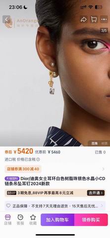 Dior Earring 01lyh251 (6)