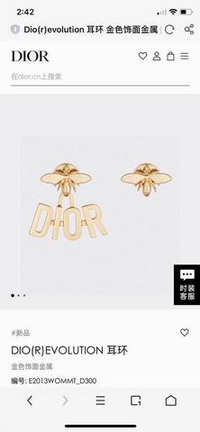 Dior Earring 01lyh255 (2)
