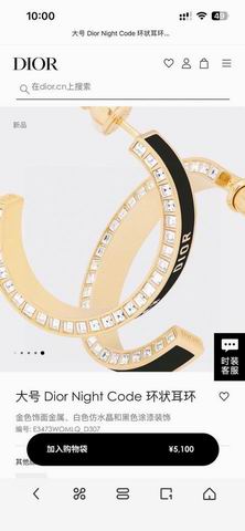 Dior Earring 01lyh261 (2)