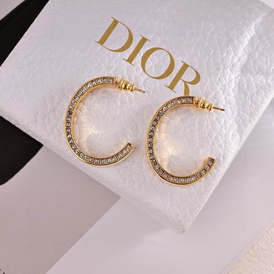 Dior Earring 01lyh261 (3)