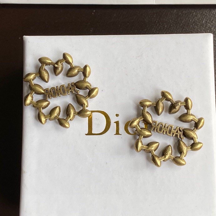 Dior Earring 01lyh267 (2)