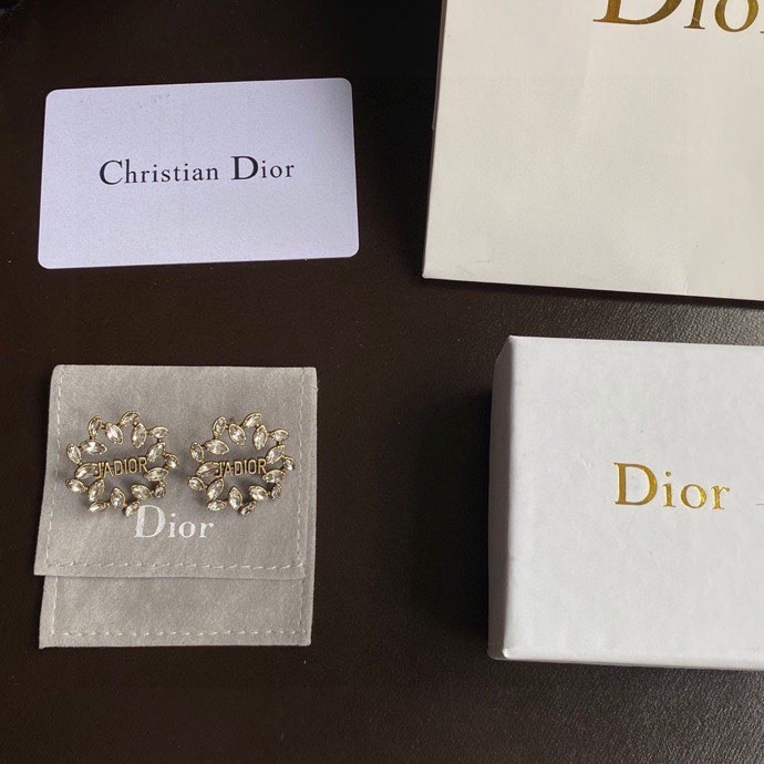 Dior Earring 01lyh267 (3)