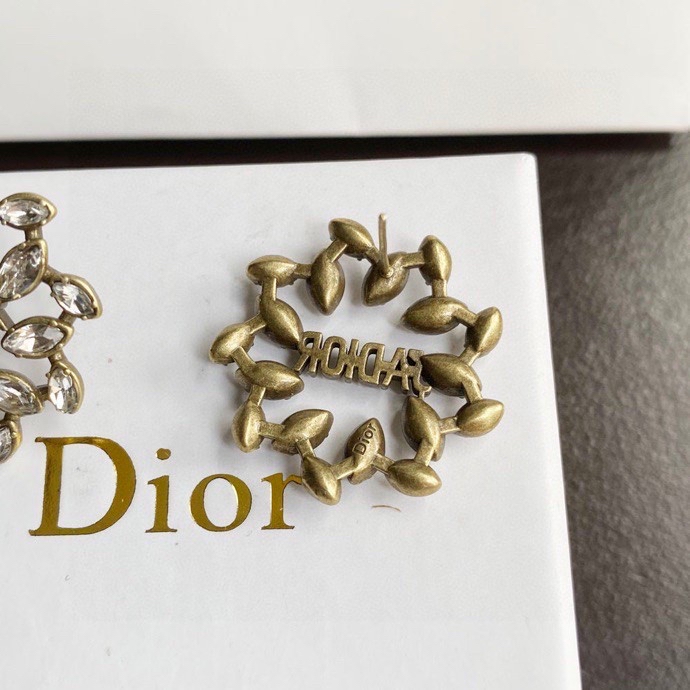 Dior Earring 01lyh267 (5)